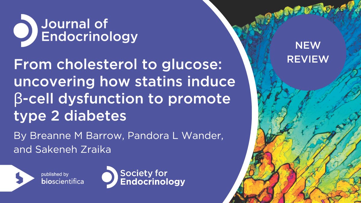 JEndocrinology's tweet image. 💊A new review by @breabarrow, Pandora L Wander and @SakenehZraika explores how statins may impair β-cell function, contributing to statin-induced #T2D.
🔗Subscribers of Journal of Endocrinology can read the full article here: doi.org/10.1530/JOE-25…