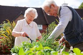 PGtzsche1's tweet image. Network meta-analysis found horticulture therapy to be by far the most effective option for older adults in long-term care; antidepressants had no effect. bit.ly/4kPa6Qw. @brokenmedics, @SecKennedy, @DrJBhattacharya, @MartyMakary, @cdcgov, @WHO, @NIH, @martinkulldorff