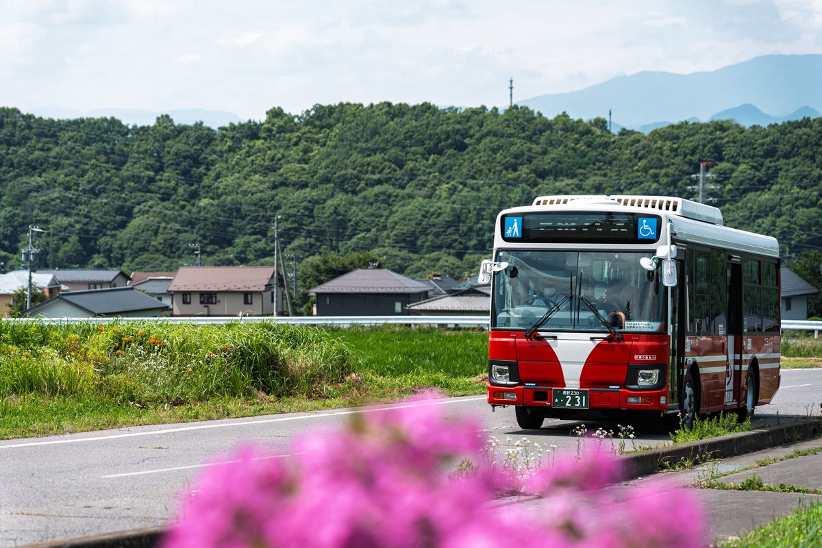 ueda_bus's tweet image. 7月16日はさなだ保育園で乗り方教室を開催しました！
園児たちは元気いっぱい、楽しくバスの乗り方を学んでくれました