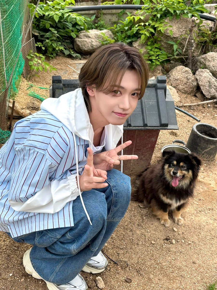왼쪽 185견 보고 뿜음 🐕🐕 너무귀욥네