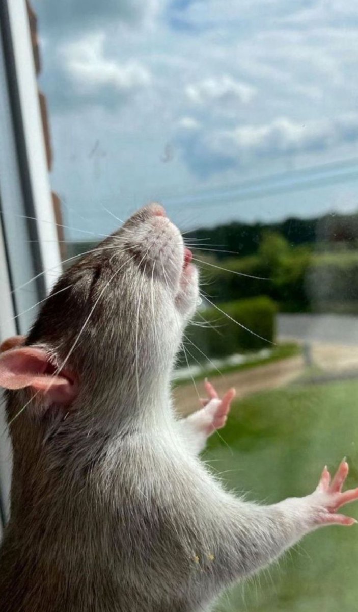 exilwt's tweet image. 