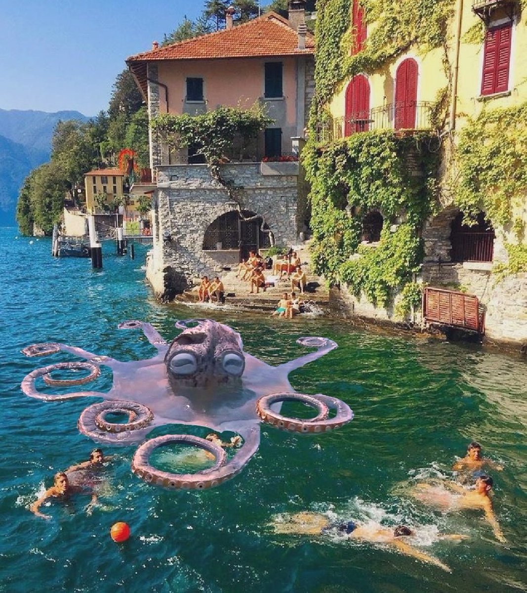 Onur imaro Boykot (@metabolizm_aa) on Twitter photo 