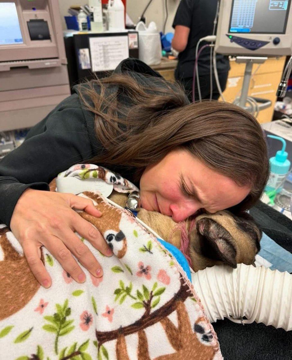Beyond_theleash's tweet image. Today is this sweet dog’s final day on Earth. May he feel peace, comfort, and the warmth of a loving heart as he crosses the rainbow bridge. 🌈🐾💛 Sending hugs and gentle thoughts to him and everyone who cares for him.