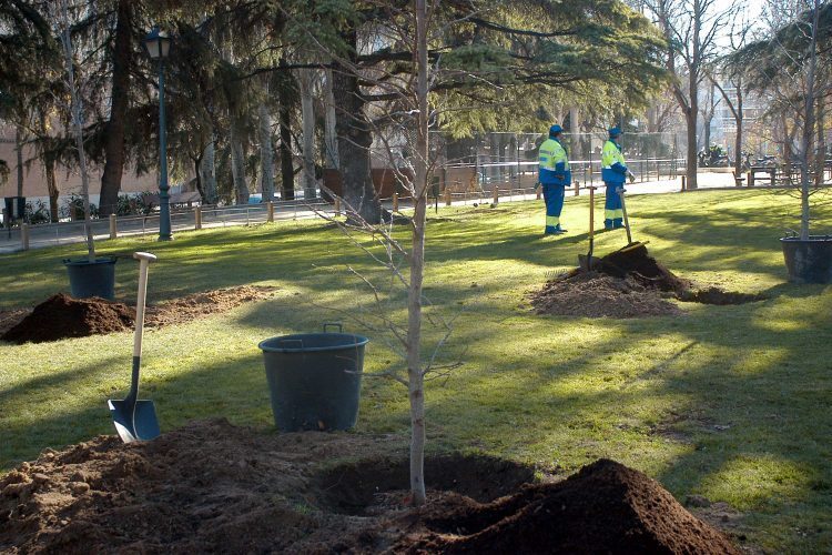 📢Consulta los viales afectados por trabajos de conservación de arbolado y zonas verdes en el distrito 🌳

🚧Debido a los trabajos las siguientes calles sufrirán cortes durante la semana de 🕣 8:30 a 13:30 h aproximadamente

Disculpen las molestias👉 informate.madrid.es/ahhw0