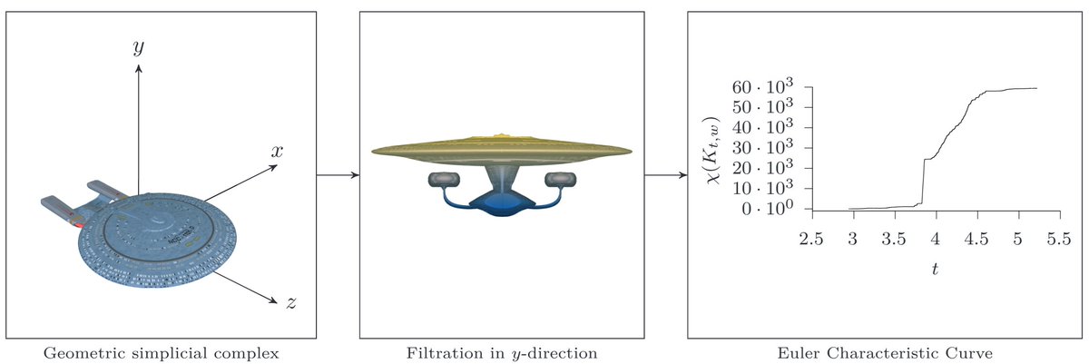 #MachineLearning loves data. #Topology loves shape. 
Let's bring them together!

👉The Euler Characteristic Transform (ECT) bridges both worlds, as I outline in a recent article in the Notices of the <a href="/amermathsoc/">American Mathematical Society</a>.

Engage!

🧵1/n