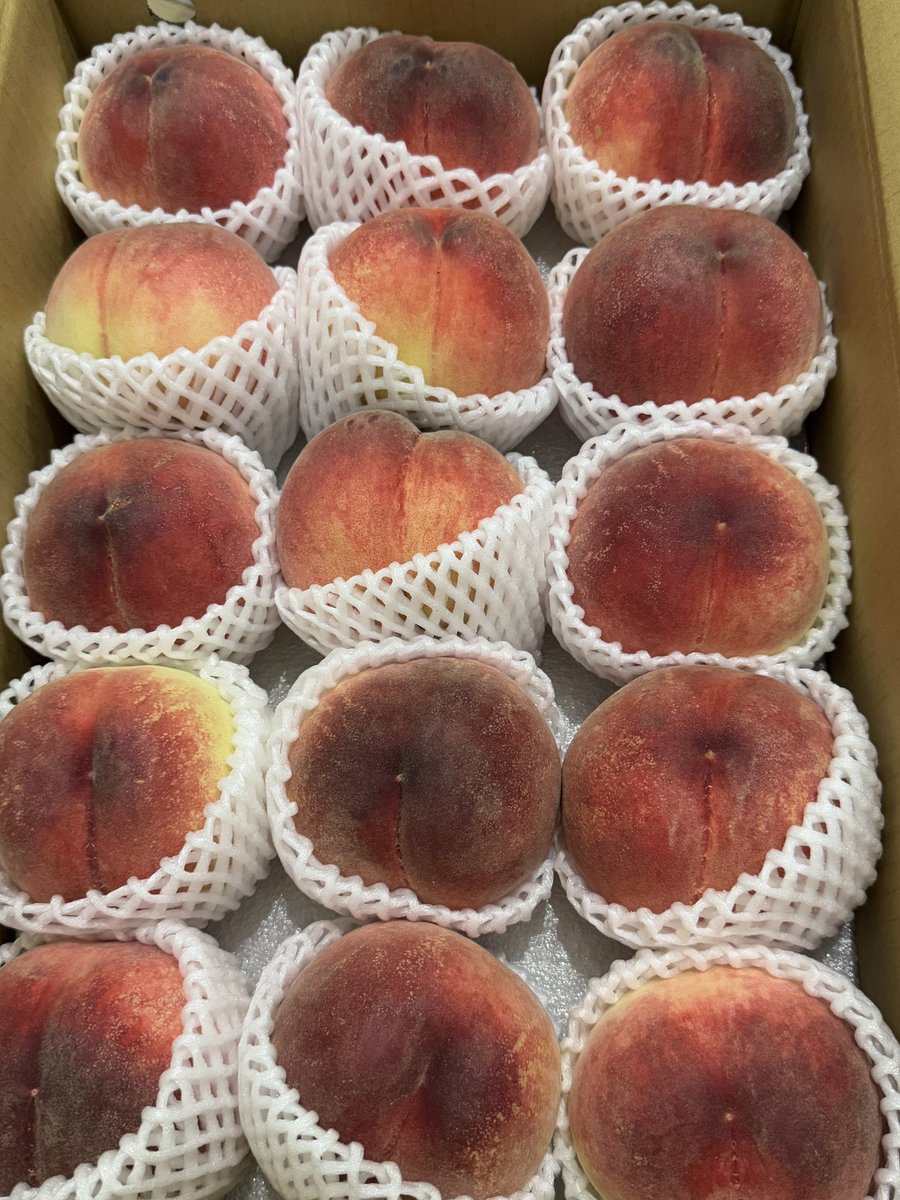 manamikiyota's tweet image. ももきたー