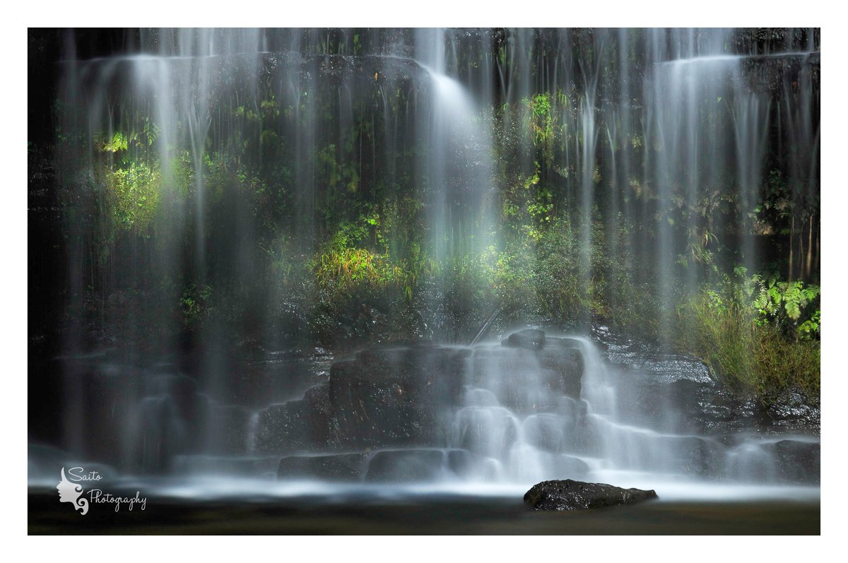 atomu0808's tweet image. 天然アクアリウム🌿