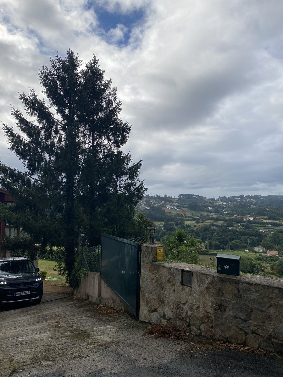 dmonteroo_'s tweet photo. 🌳🏞️ https://t.co/zA8UXKn7BE