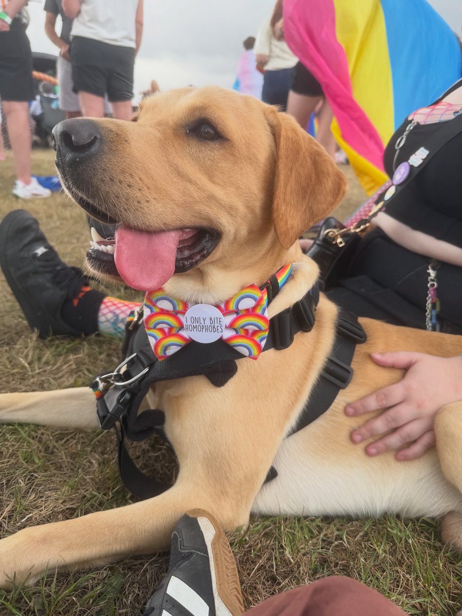 Happy pride 🌈