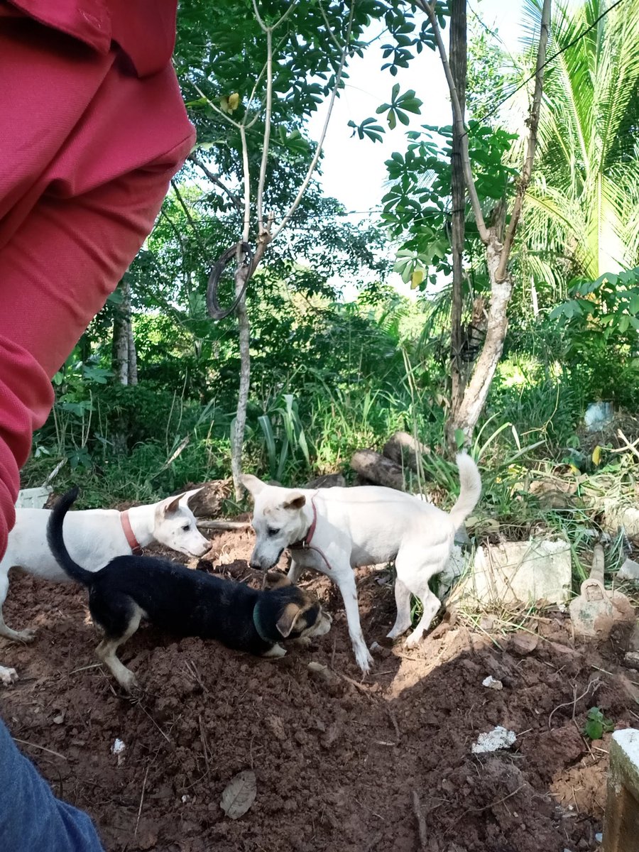 Maryfaeries's tweet image. 