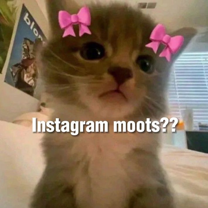 takara_yume's tweet image. Instagram moots?? 🥰
Lemme follow you backkk~ let’s be moots there too!!
➡instagram.com/takarayume25/
#moots #artmoots