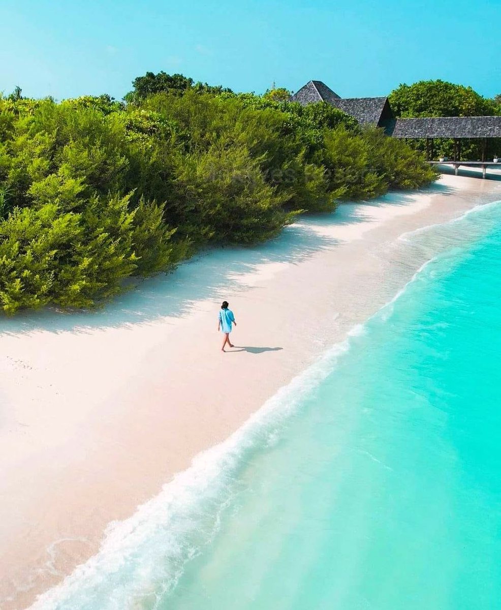 AMAZING Maldives