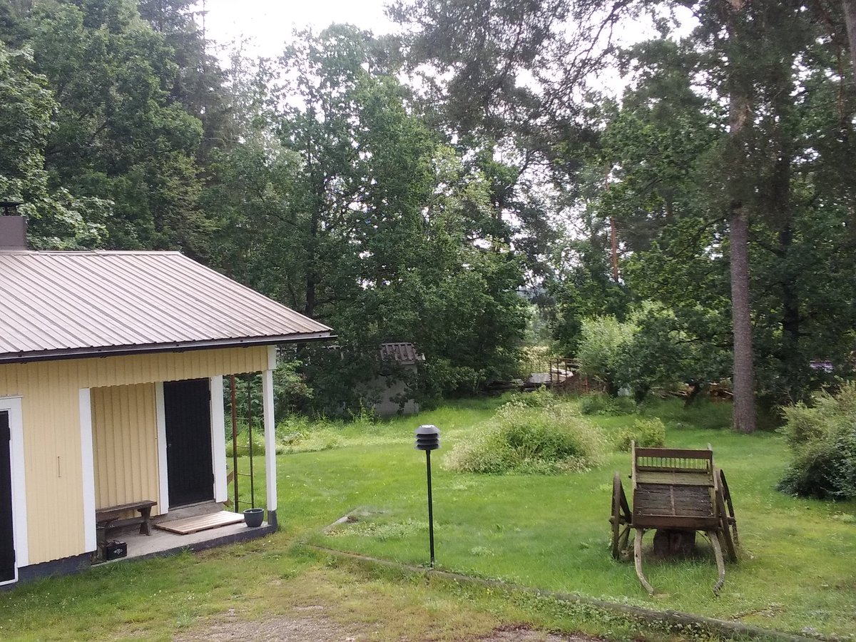 Huomenta Vandaaleista. Moni on valitellut kuivuutta, täällä tuli eilen reippaasti vettä ja aamuyöllä lisää. Nyt ei tarttis sataa, saunan takana nurmi on jo 20 senttistä. Iltapäivällä päässen leikkaamaan🤔