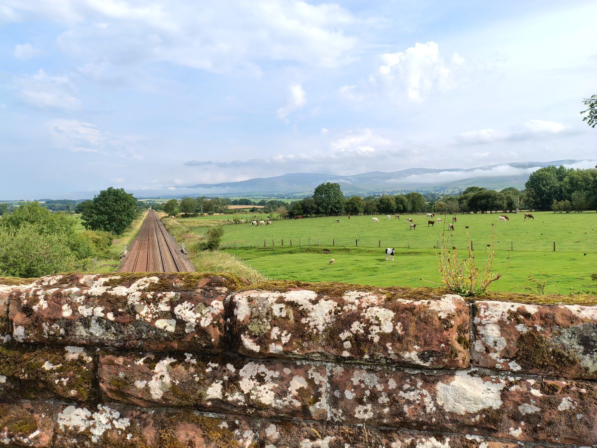 foscl's tweet image. On our last walk from Appleby to Langwathby we had unexpectedly good weather for the first few hours but then the heavens opened and the deluge began!
Boy, did we get wet!
For details on future walks click here foscl.org.uk/guided-walks