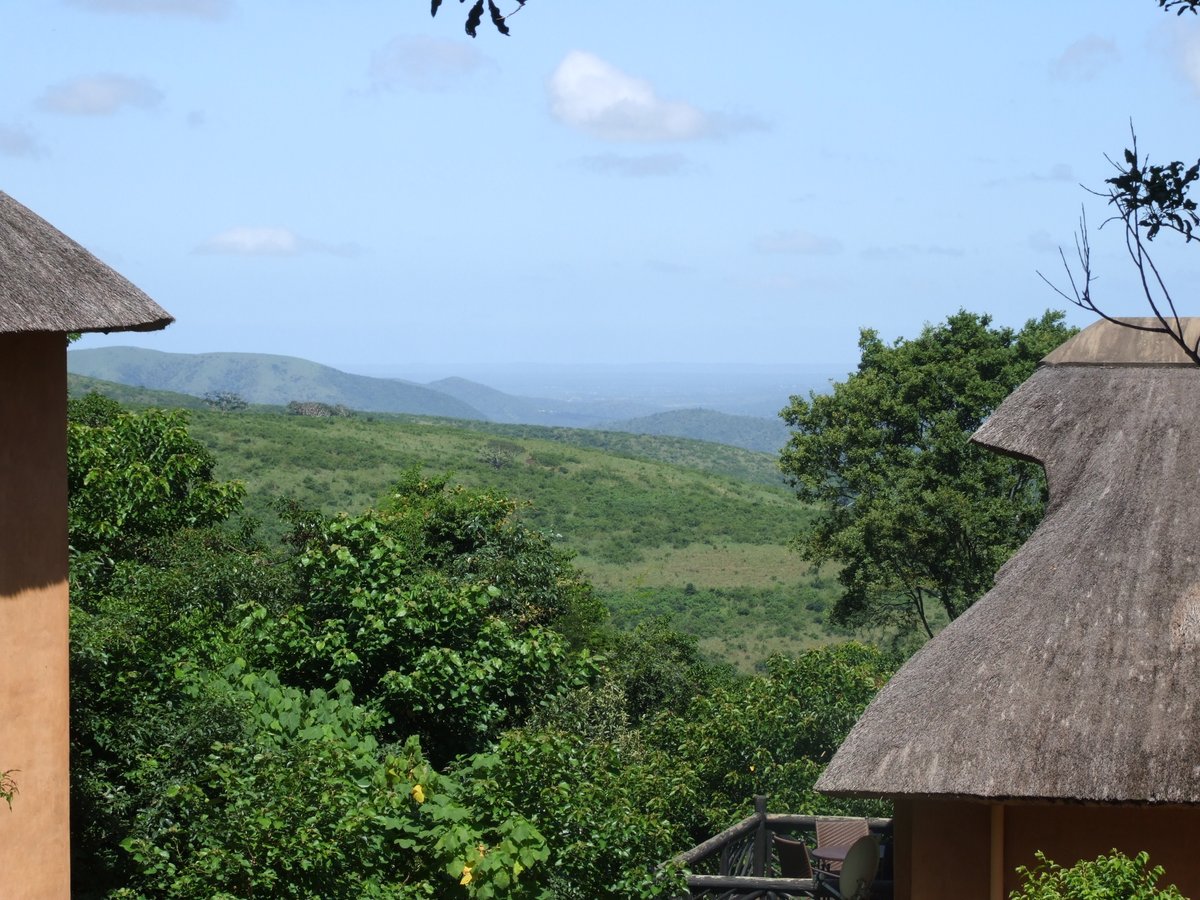 SafariKZNMark's tweet image. A safari on a budget, views for free, is possible. Places for you to #Safari & #Holiday that we have been to & highly recommend. Imagine being here on a #TravelTuesday The beauty & wealth of flora & fauna await you in #kwazulunatal #southafrica Be prepared to be amazed...