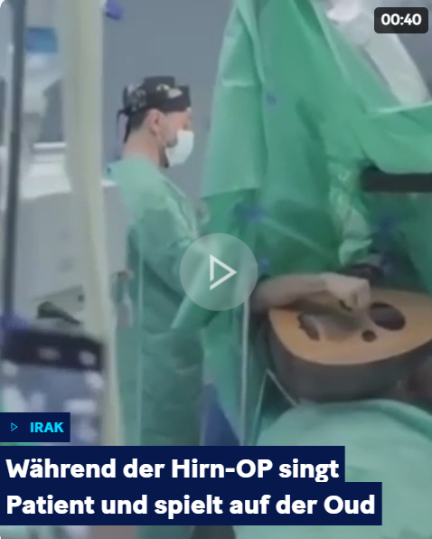 Osiwahn's tweet image. Das ist doch gar nichts. Bei uns gibt es Menschen, die nach der Gehirnentfernung noch auf der Strasse rumlaufen und gegen Impfung, Ausländer und Kilmaschutz demonstrieren.