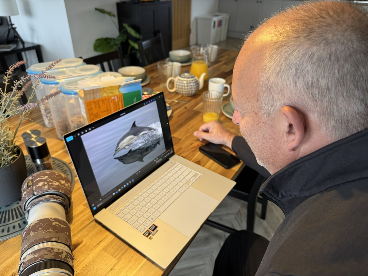 highland_andy's tweet image. Absolutely love it when your guests nail it. Well done Steve!
Thanks to Furgus of @Turus_Mara for putting us in the right position.
#commondolphin