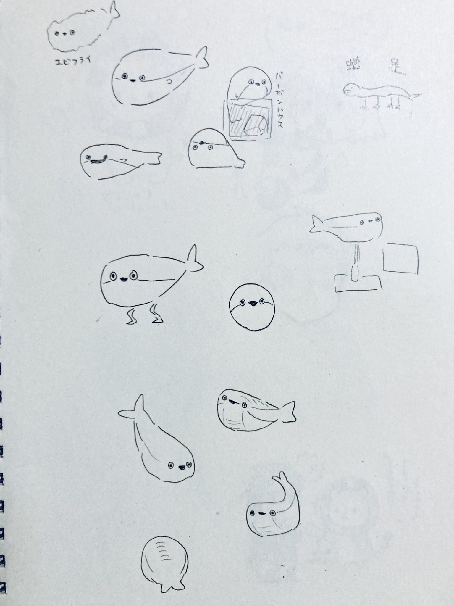 ‬キキ ᙏ̤̱‪‪❤︎プロフ読んで下さい サブロー (@bitch_fxxk) / X