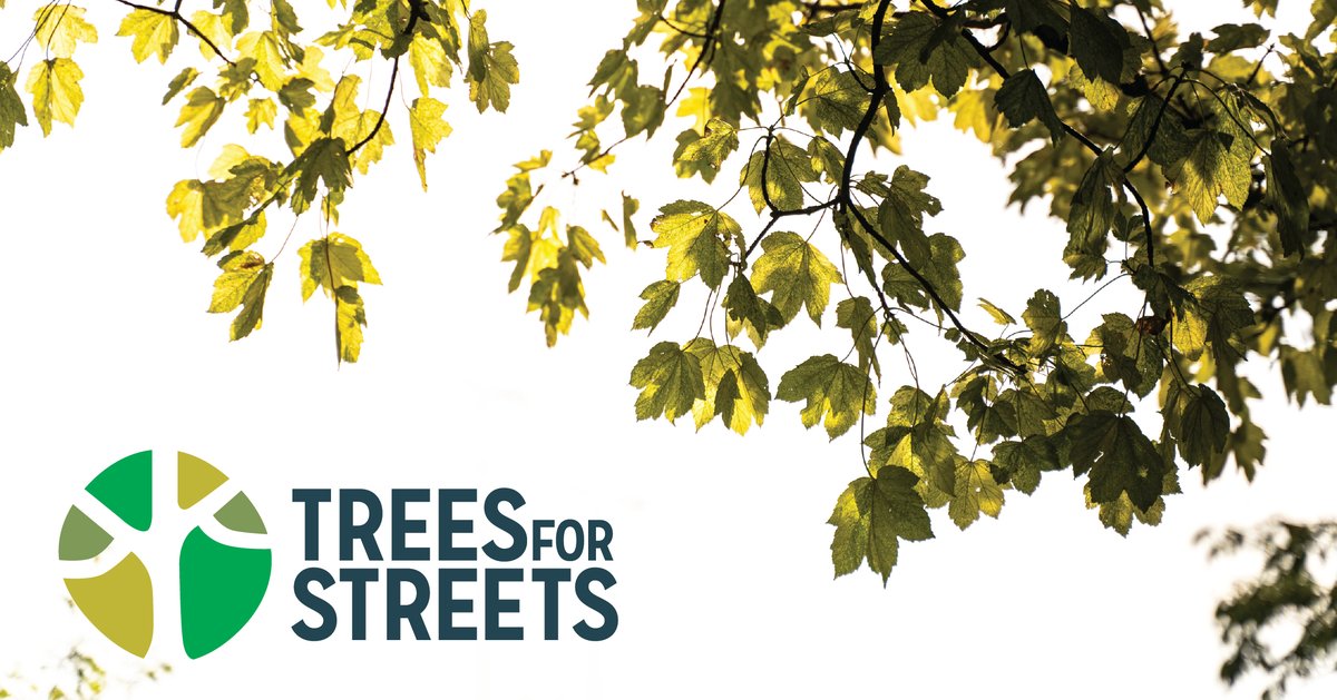 GlasgowCC's tweet image. Are you a business keen to make an environmental impact in your local area?
Have you thought about sponsoring one or more street trees?
We've partnered with @TreesforStreets a national tree sponsorship scheme which makes it easier to sponsor.
More 👉 ow.ly/hU9o50WpkoE