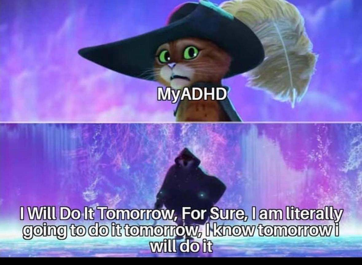 ADHD Memes tweet media