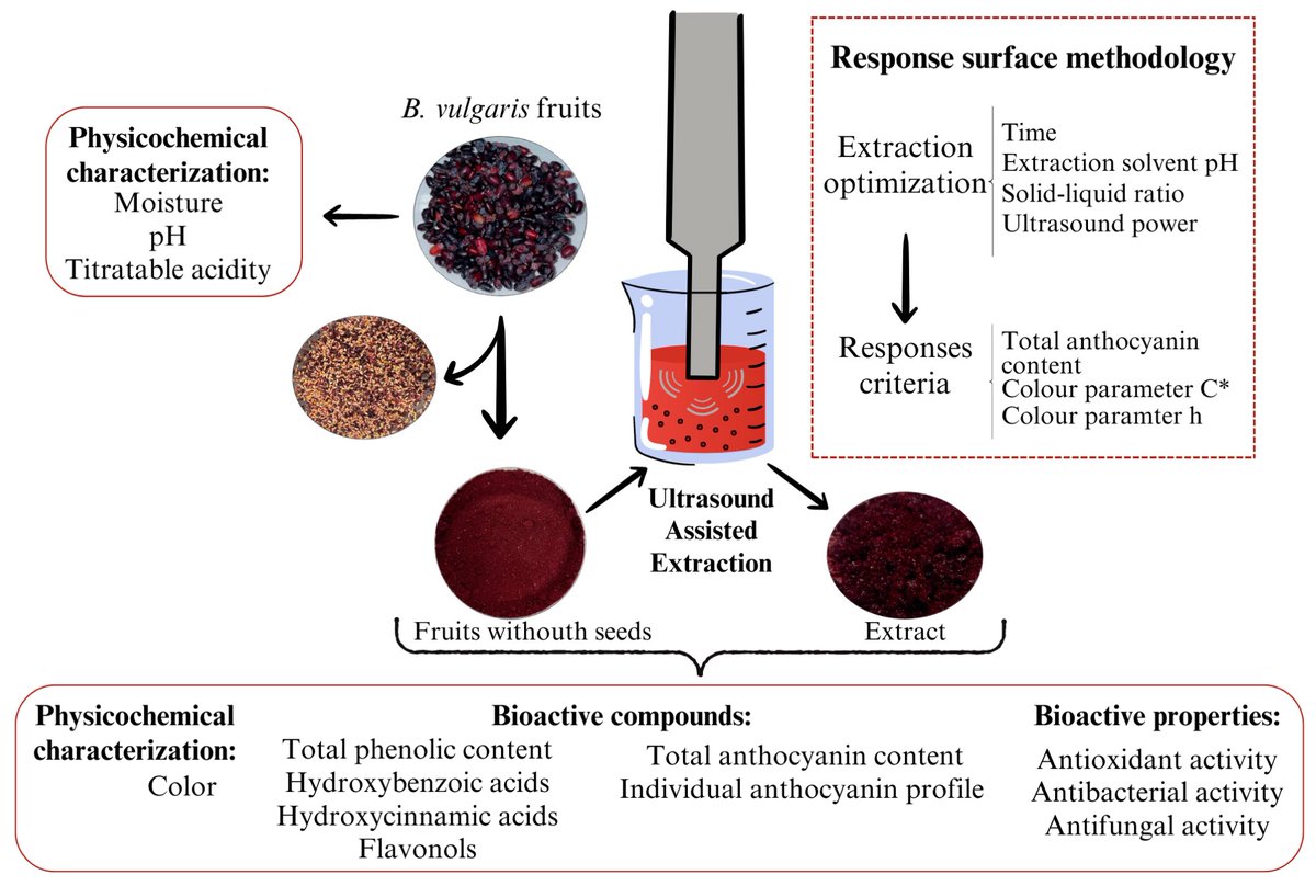 Foods_MDPI's tweet photo. #mdpifoods 🔥🔥#Editor’s Choice Article
📚"#Natural #Food #Colorant Obtained from Wild Berberis vulgaris L. by #Ultrasound-Assisted #Extraction: Optimization and Characterization"
by Erika N. Vega et al

Link: https://t.co/6gaEWHQN1t https://t.co/Q98Kcnmjv7