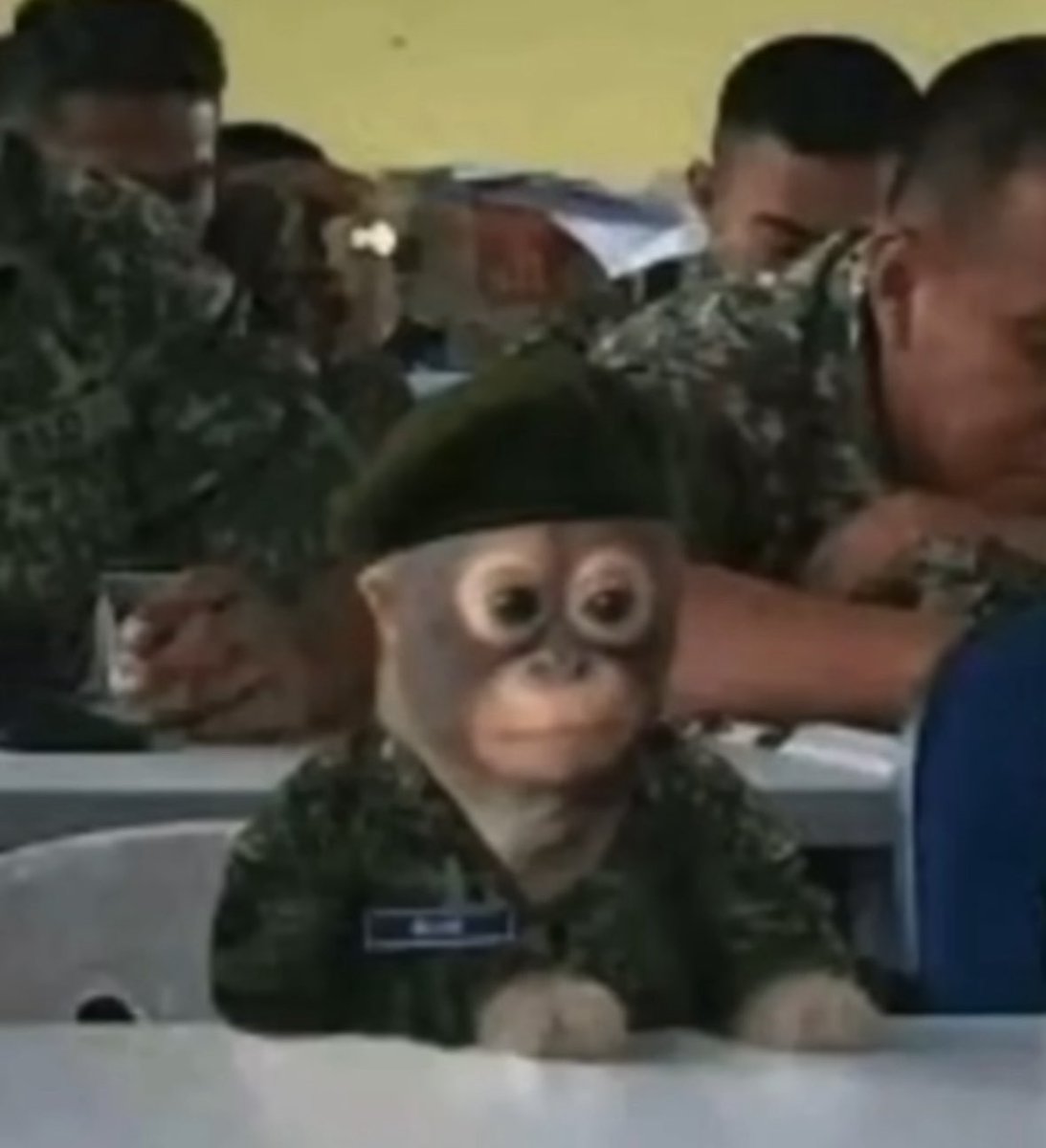 My love for Twitter has returned cause I saw a funny meme. Be ready