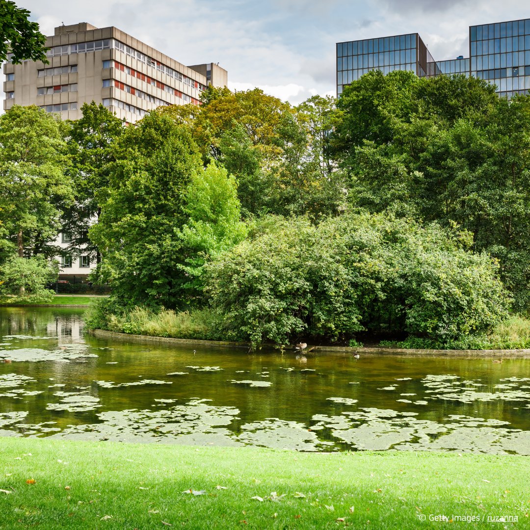 EU_ENV's tweet image. Global 🏙️ urbanisation is increasing, with negative impacts on the quality, connectivity & ecosystem functioning of natural spaces.
Learn how blue 🌊 & green 🌳 infrastructures in cities can boost biodiversity & support species survival 👉 europa.eu/!KYntHf
#ForOurPlanet
