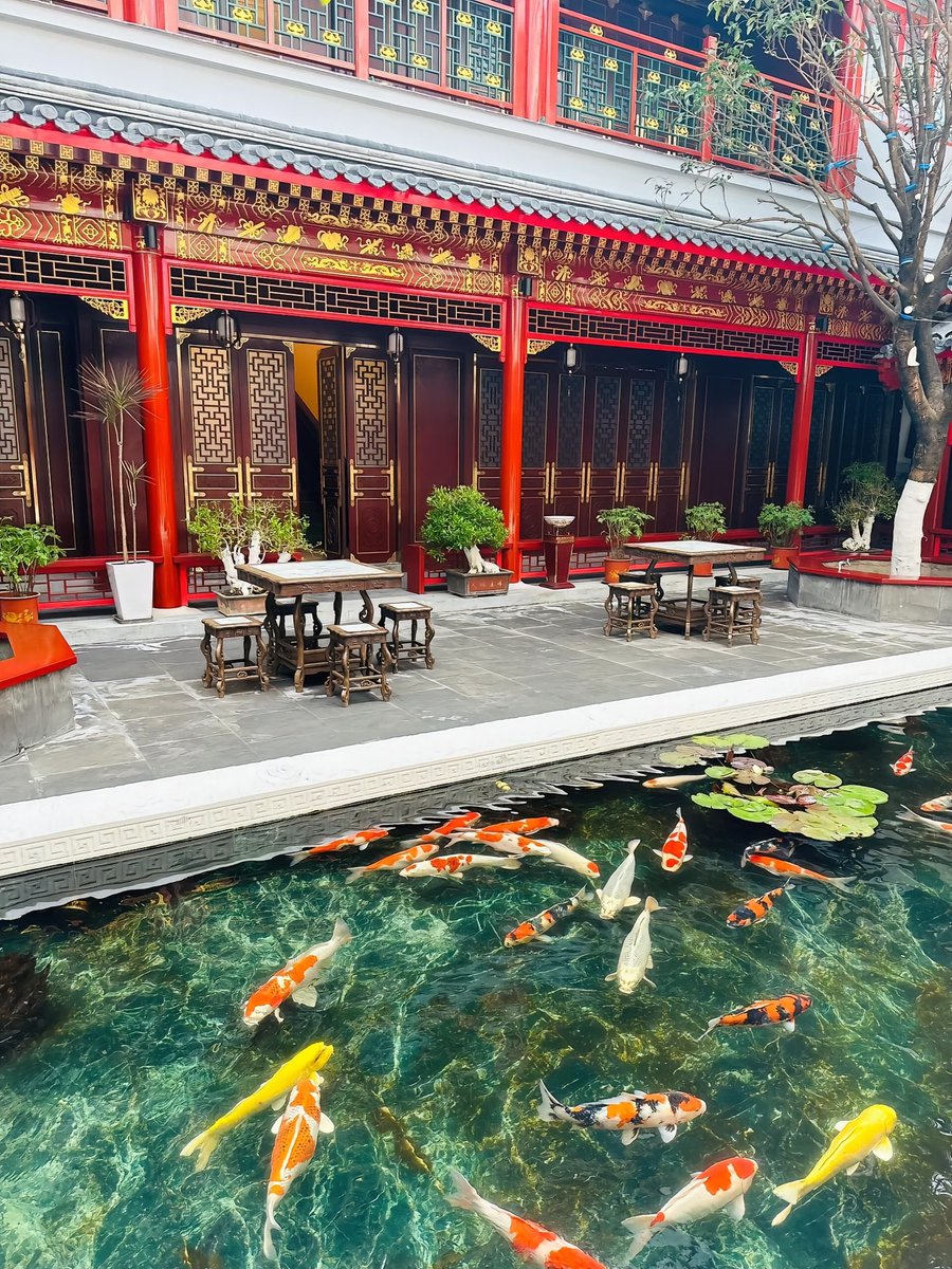 Sofia58788's tweet photo. Stillness has a form.
A courtyard. A koi pond. A way of life.

#Siheyuan #OrientalAesthetics #CourtyardCulture #KoiPond #PrivateCollector https://t.co/cgsHY8O7Y1