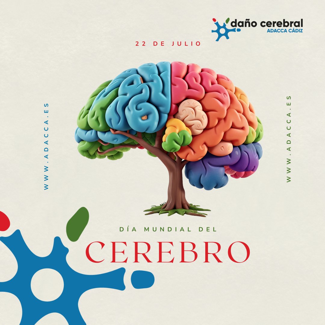 🧠 Hoy, 22 de julio, es el Día Mundial del Cerebro.
Este año se promueve la salud cerebral para todas las edades.
Cuidar el cerebro es clave:
📌 Dormir bien
📌 Hacer ejercicio
📌 Comer sano
📌 Estimular la mente
📌 Controlar el estrés
📌 Relaciones sociales
📌 Evitar tóxicos