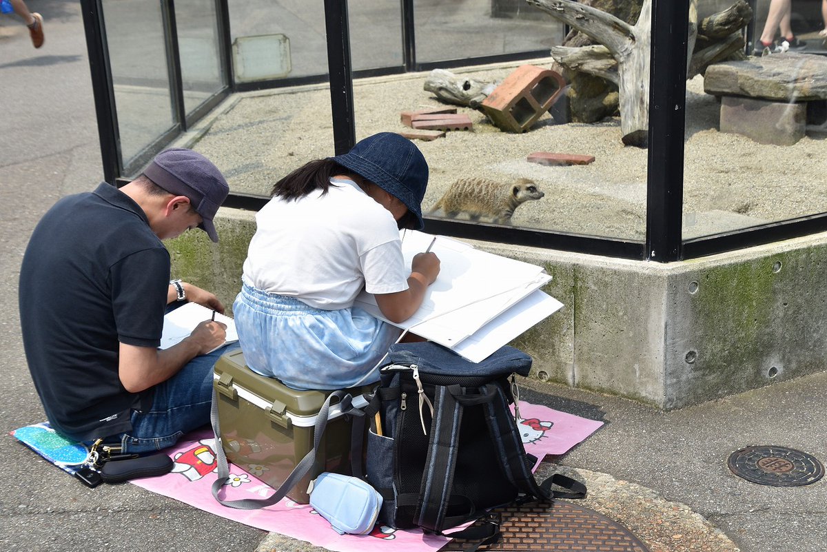 omoriyama_zoo's tweet image. 【動物たちの絵を描こう🎨】
#親と子のふれあい写生大会 を開催中です。
期間中は園内で作品を制作することができます。
スケッチだけして自宅で仕上げてもOKです。
専用の画用紙は入園ゲートで配布中!
夏休みはぜひ大森山動物園へ✨
詳しくは→city.akita.lg.jp/zoo/news/10088…
(画像は過去の様子)