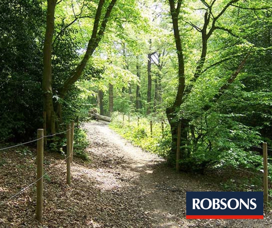 RobsonsWeb's tweet photo. #LocalSpotlight: Great Places to Visit in #Northwood!  

🌳 Ruislip Woods Nature Reserve is right on Northwood’s doorstep. Walking trails &amp; tranquil lakes, it is a haven for nature lovers.  

Discover more special places in Northwood in our #AreaGuide - https://t.co/wcw9jDklZj https://t.co/7MfYNhmUMi