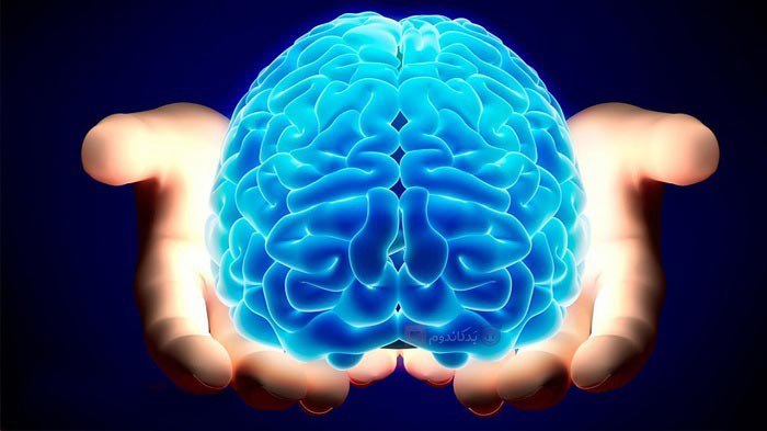 Patrick_day7777's tweet image. امروز، July 22 روز جهانی مغزه 🧠
@grok
+ گروگ، این هدیه را باید به کدام اپوزیسیونِ سیاسیِ ایرانی که کوچکترین بهرهٔ هوشی ندارد، تقدیم کرد؟!🤔🧐
