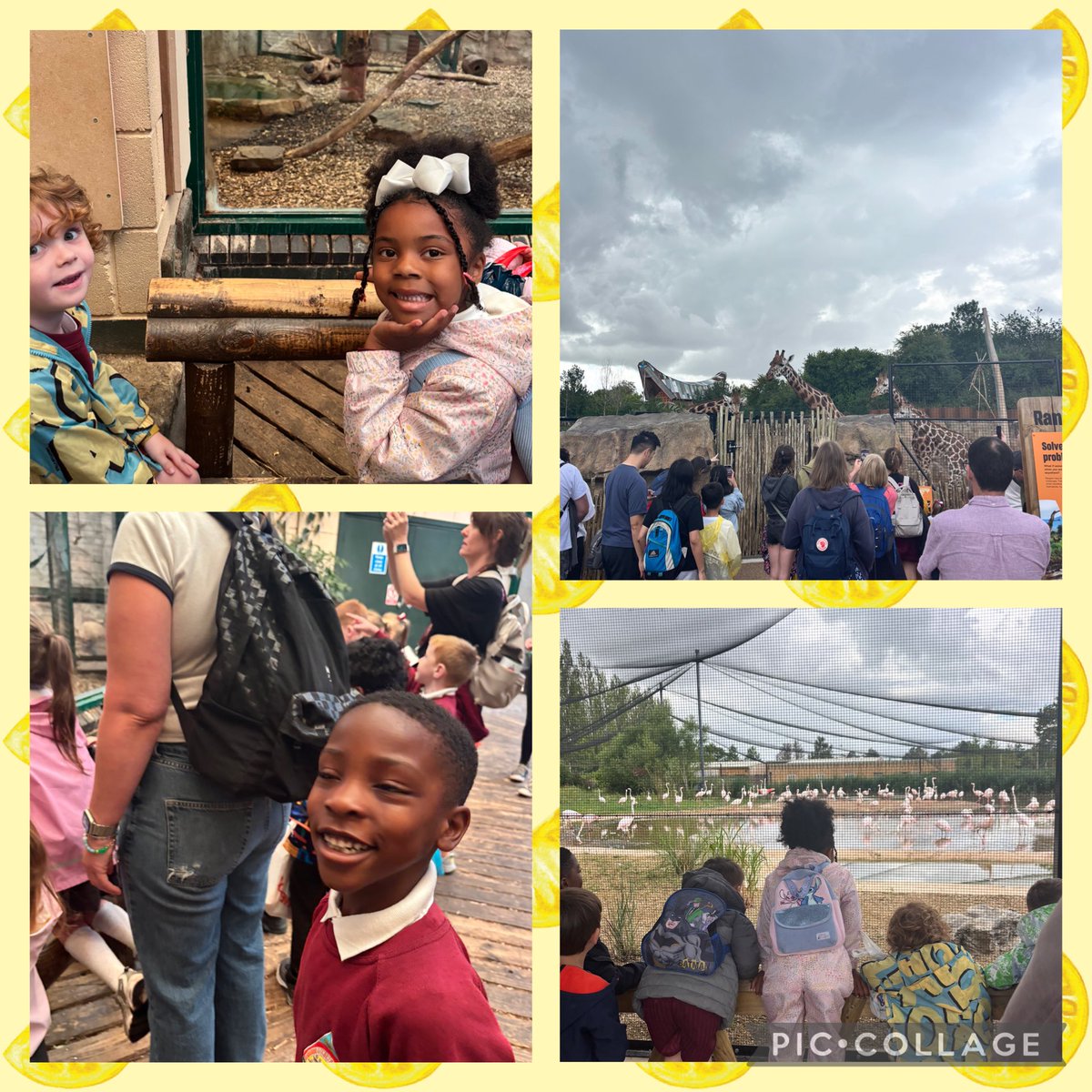 MissSouthMLP tweet media