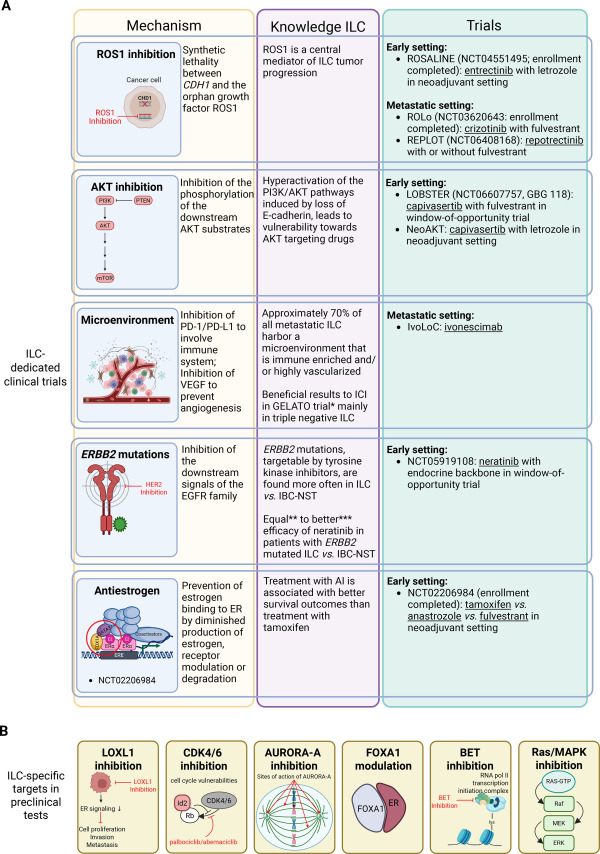Annals of Oncology (@annals_oncology) on Twitter photo 🆕review in press: Clinical challenges and proposed solutions for patients with invasive lobular breast cancer <a href="/ChristineDesme2/">Christine Desmedt</a>
doi.org/10.1016/j.anno… 🆕review in press: Clinical challenges and proposed solutions for patients with invasive lobular breast cancer <a href="/ChristineDesme2/">Christine Desmedt</a>
doi.org/10.1016/j.anno…