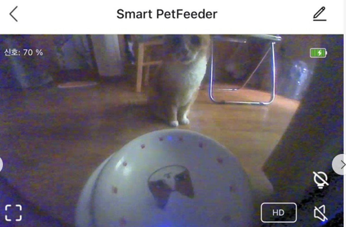 이거근황 밥시간되면 와서 기다림