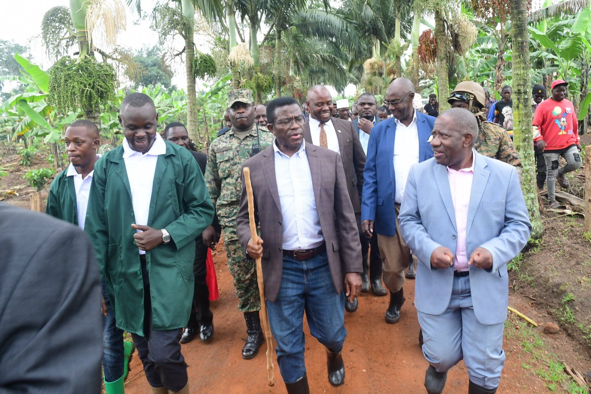 BugandaKingdom_'s tweet image. Mmwanyi terimba Kyaggwe.
Katikkiro Charles Peter Mayiga atandise okulambula abalimi b'emmwanyi mu Ssaza Kyaggwe okunnyikiza kaweefube w'okulima emmwanyi okusobola okugoba obwavu.
Kaweefube amutandikidde mu ggombolola ya mumyuka Nakifuma ku kyalo Ddiikwe ew'omulimi Kimuli Eddy…