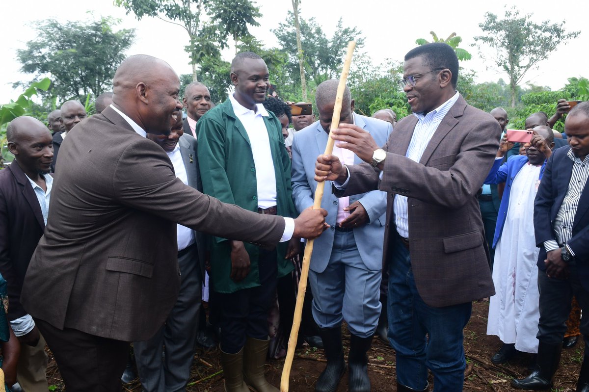 BugandaKingdom_'s tweet image. Mmwanyi terimba Kyaggwe.
Katikkiro Charles Peter Mayiga atandise okulambula abalimi b'emmwanyi mu Ssaza Kyaggwe okunnyikiza kaweefube w'okulima emmwanyi okusobola okugoba obwavu.
Kaweefube amutandikidde mu ggombolola ya mumyuka Nakifuma ku kyalo Ddiikwe ew'omulimi Kimuli Eddy…
