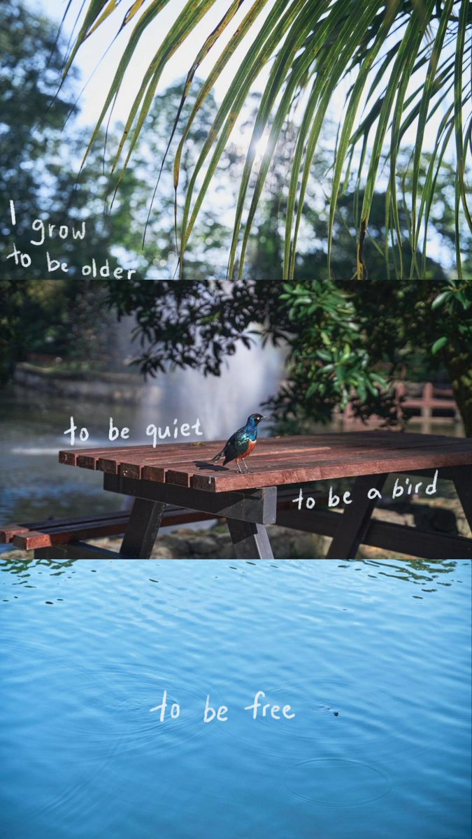 Change is scary but staying the same is scarier so I choose to grow