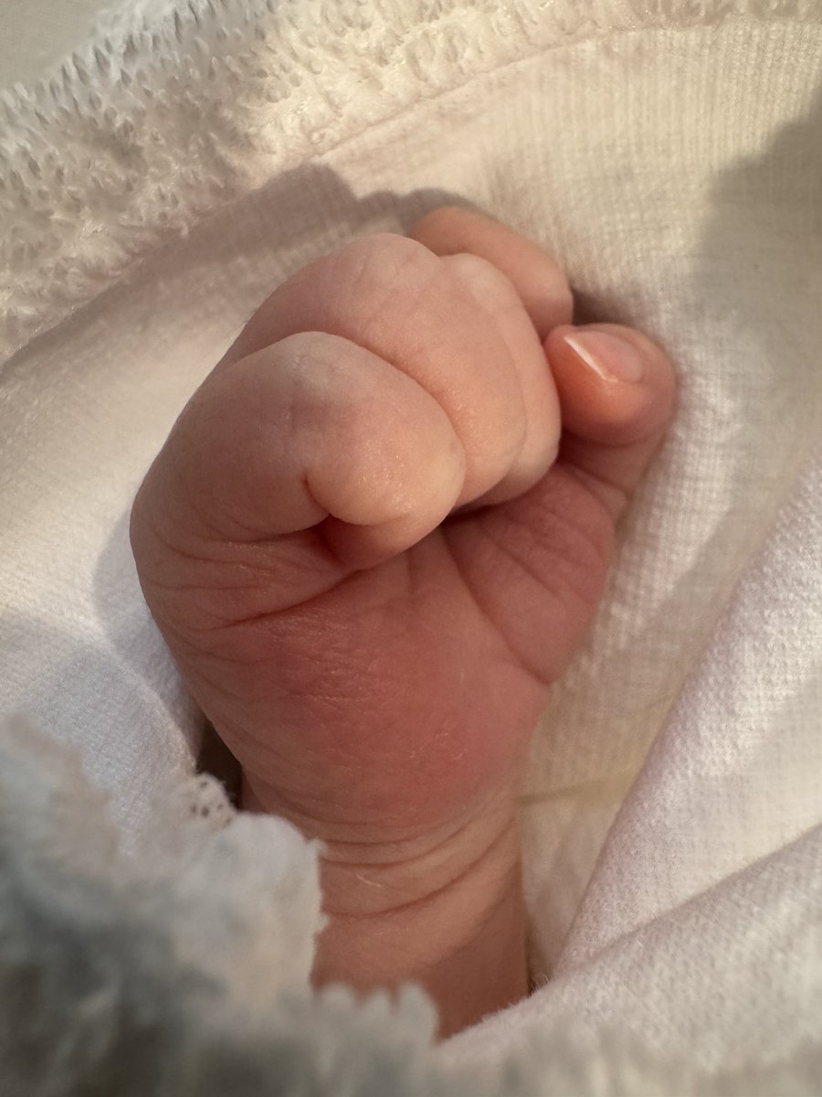 LITOjp's tweet image. 私事ではございますが、
先日、第二子となる追加戦士(長男)が誕生いたしました。
母子ともに健康です。
家族4人で、穏やかに、私たちらしく暮らしてまいります。
