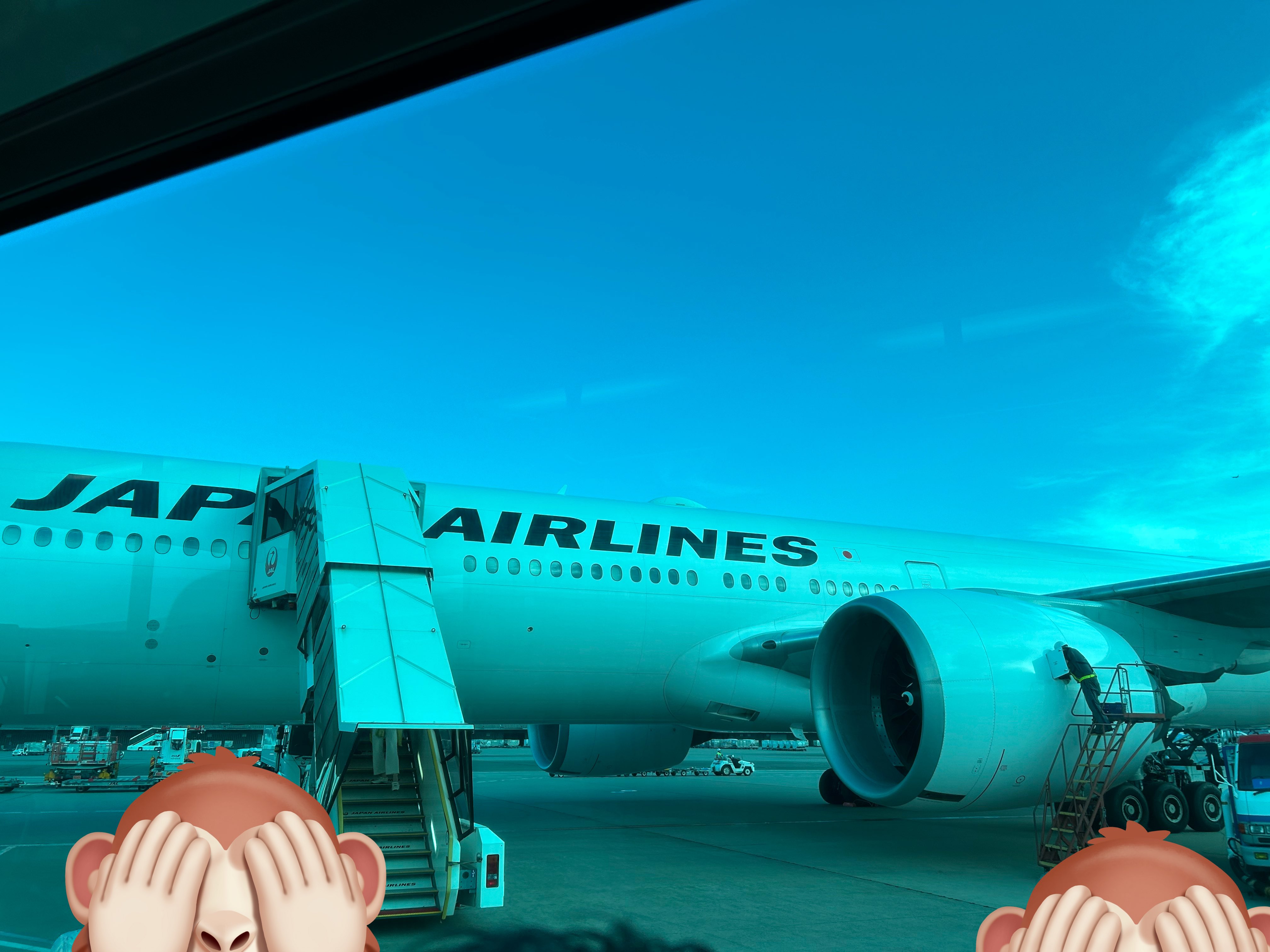 いいよ！ NGK.com: BKR5EIX NGK 6341 Iridium Spark Plug - Best Car