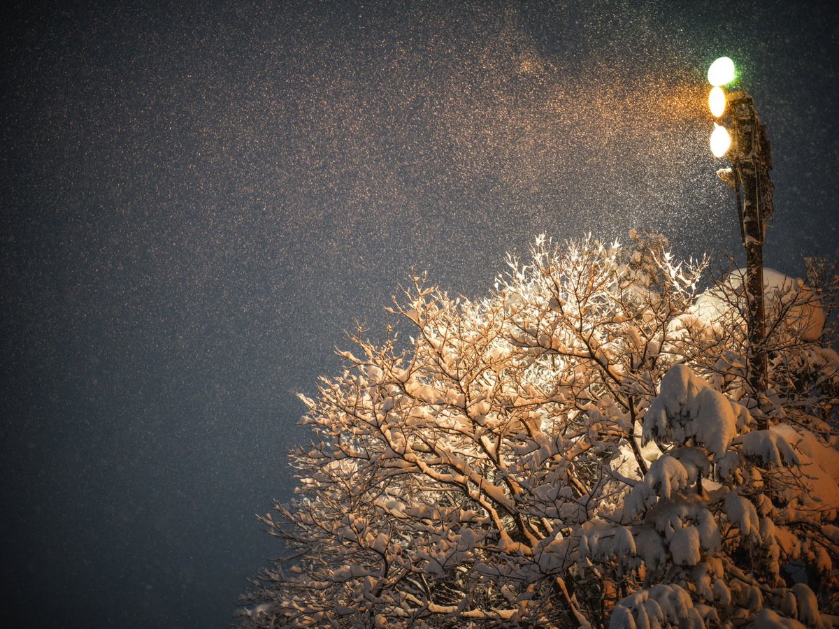 noroshi_fotos's tweet image. #暑すぎるので雪の画像で涼もう見た人もやる
Hasselblad CFV II 50C/907X
XCD 2.8/65