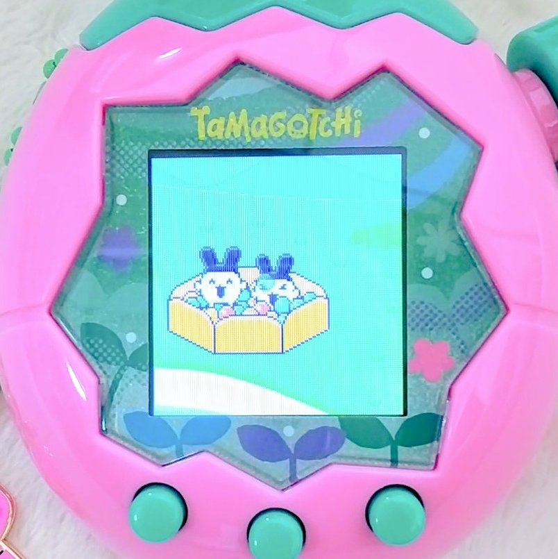 aquamarine_maqu's tweet image. たまパラ ピンク
惑星レベル上げたいけど
みみっちとお別れしたくなかったのでみみっち同士でブリードしてみたら1発OK❣️ちょっとびっくりした😂
親子みみち🐰🐰
楽しそうだよ~♩
#たまごっちパラダイス
