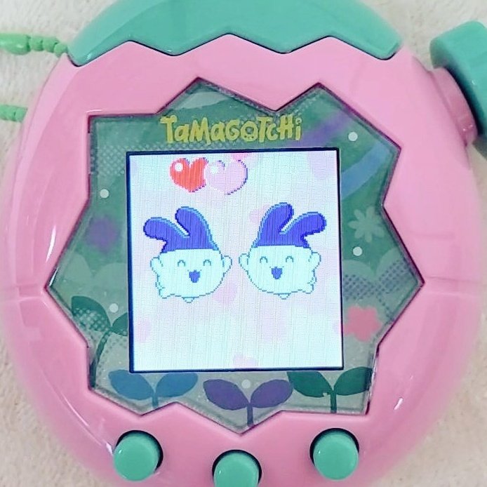 aquamarine_maqu's tweet image. たまパラ ピンク
惑星レベル上げたいけど
みみっちとお別れしたくなかったのでみみっち同士でブリードしてみたら1発OK❣️ちょっとびっくりした😂
親子みみち🐰🐰
楽しそうだよ~♩
#たまごっちパラダイス