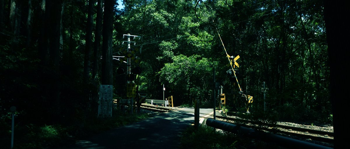 gracile_jp's tweet image. 