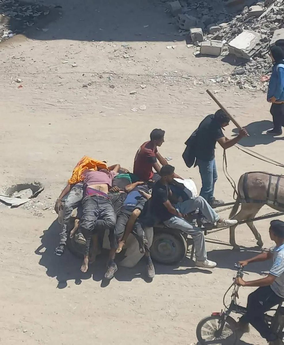 leen95dzds's tweet image. We are stuck between the shroud and the flour. Both are white. We will neither forgive nor forget. Thank you to everyone who helps and supports Gaza.