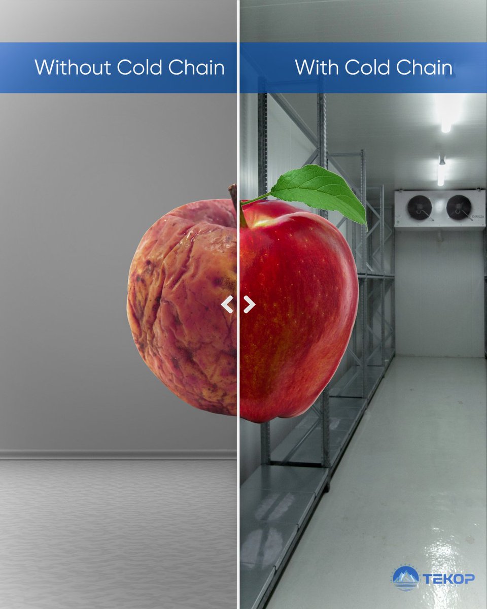 Every year, 800 million tons of food is wasted due to the lack of a proper cold chain.
📉 The main reason? Improper temperature control.
Cold chain is not just a matter of technology. It is also an ethical responsibility.

#ColdChain #FoodWastage #Sustainability #Tekop
