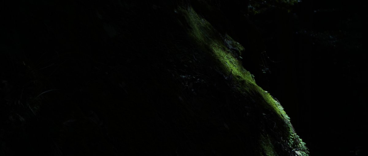 gracile_jp's tweet image. 