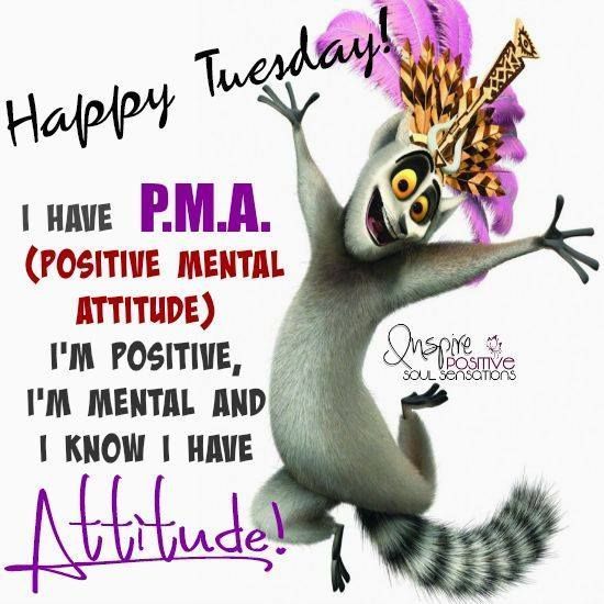 KittenHippy's tweet image. Good morning my gorgeous peeps 😘
Happy Tuesday 😀
Bit grey and rainy here today, but that's okay, got a good book, coffee and biscuits ☕😋
Do some exercises and stretching of the old legs 😄
Sending you all my love and hugs 🤗❤️💋