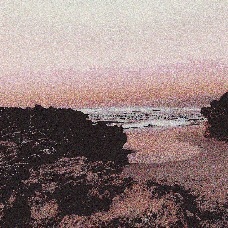 surfborn tweet picture