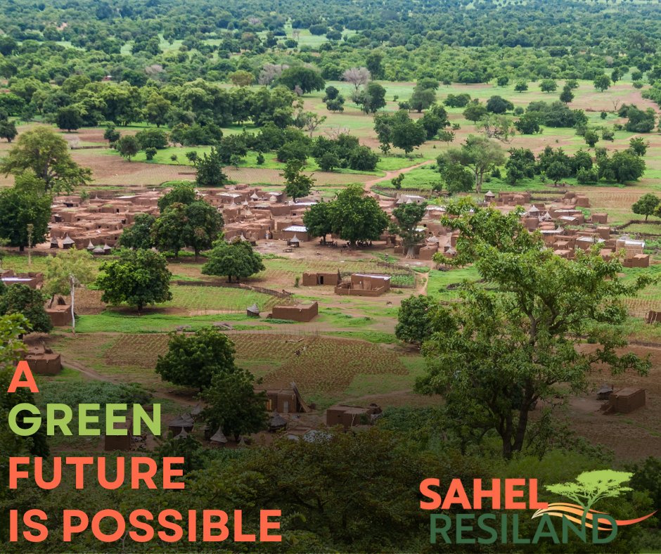 WBG_ClimateEnv's tweet photo. Climate change and desertification threaten #Sahel’s agro-pastoral systems.  
The World Bank backs nature-based solutions that boost resilience, create jobs and drive growth.  
 
Read more: https://t.co/mM824rTw8d #SahelRESILAND

via @WorldBankAfrica https://t.co/mSqIajL6EB